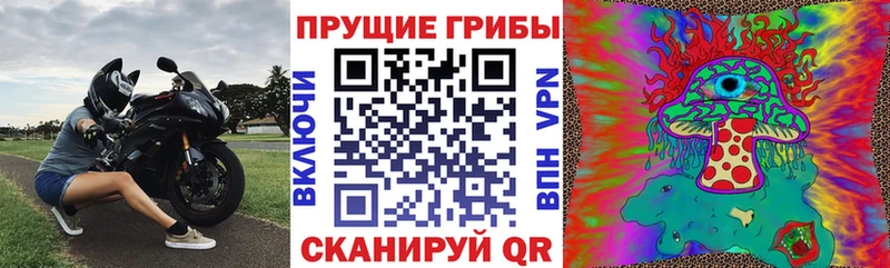 KRAKEN сайт  Невель  Псилоцибиновые грибы GOLDEN TEACHER  купить наркотик 